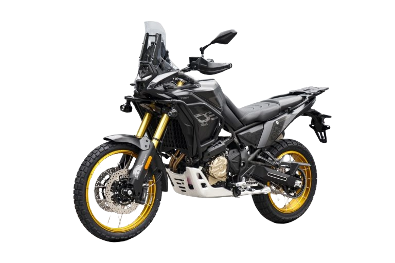 TRAIL DS  DS800X RALLY