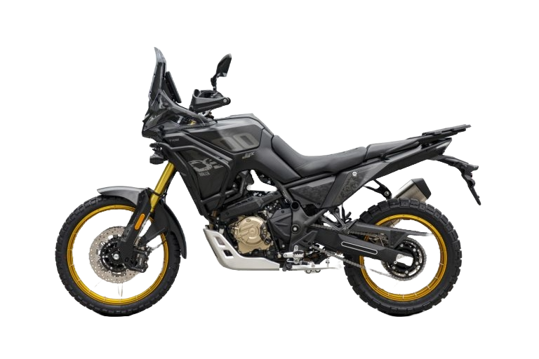 TRAIL DS  DS800X RALLY