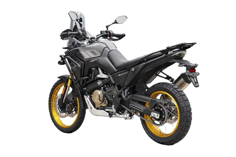 TRAIL DS  DS800X RALLY