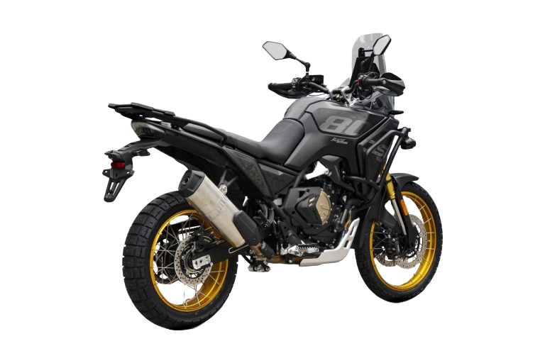 TRAIL DS  DS800X RALLY