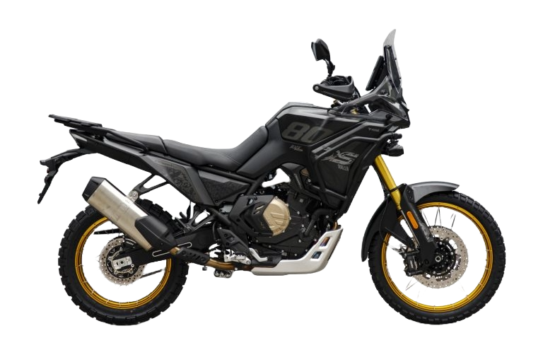 TRAIL DS  DS800X RALLY