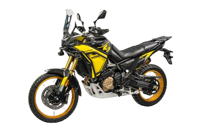 TRAIL DS  DS800X RALLY