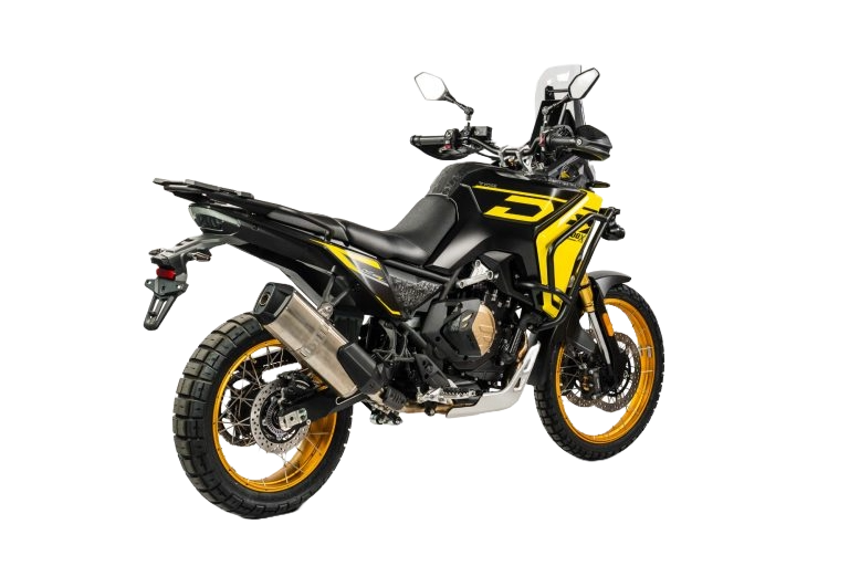 TRAIL DS  DS800X RALLY