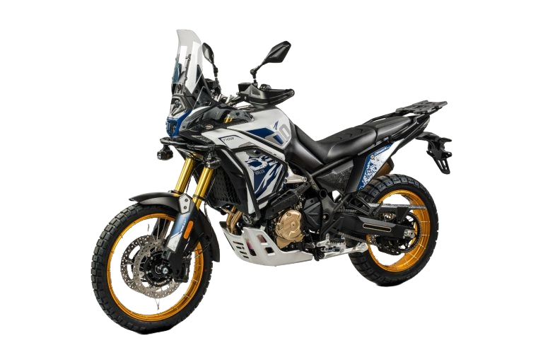 TRAIL DS  DS800X RALLY