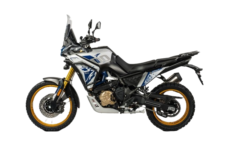 TRAIL DS  DS800X RALLY