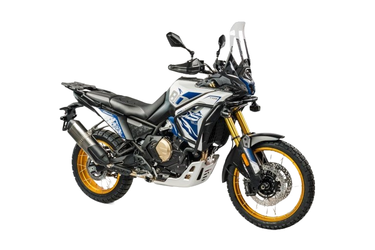 TRAIL DS  DS800X RALLY