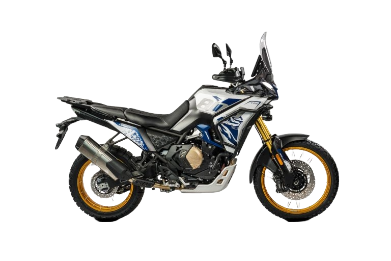 TRAIL DS  DS800X RALLY